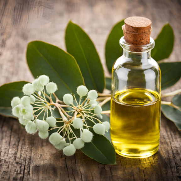 EUCALYPTUS OIL