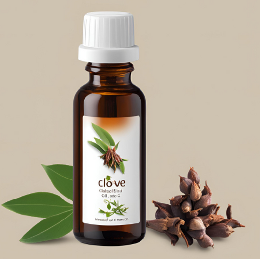 CLOVE BUD OIL