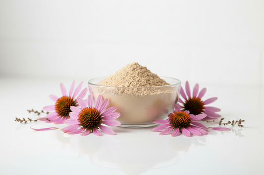 ECHINACEA EXTRACT
